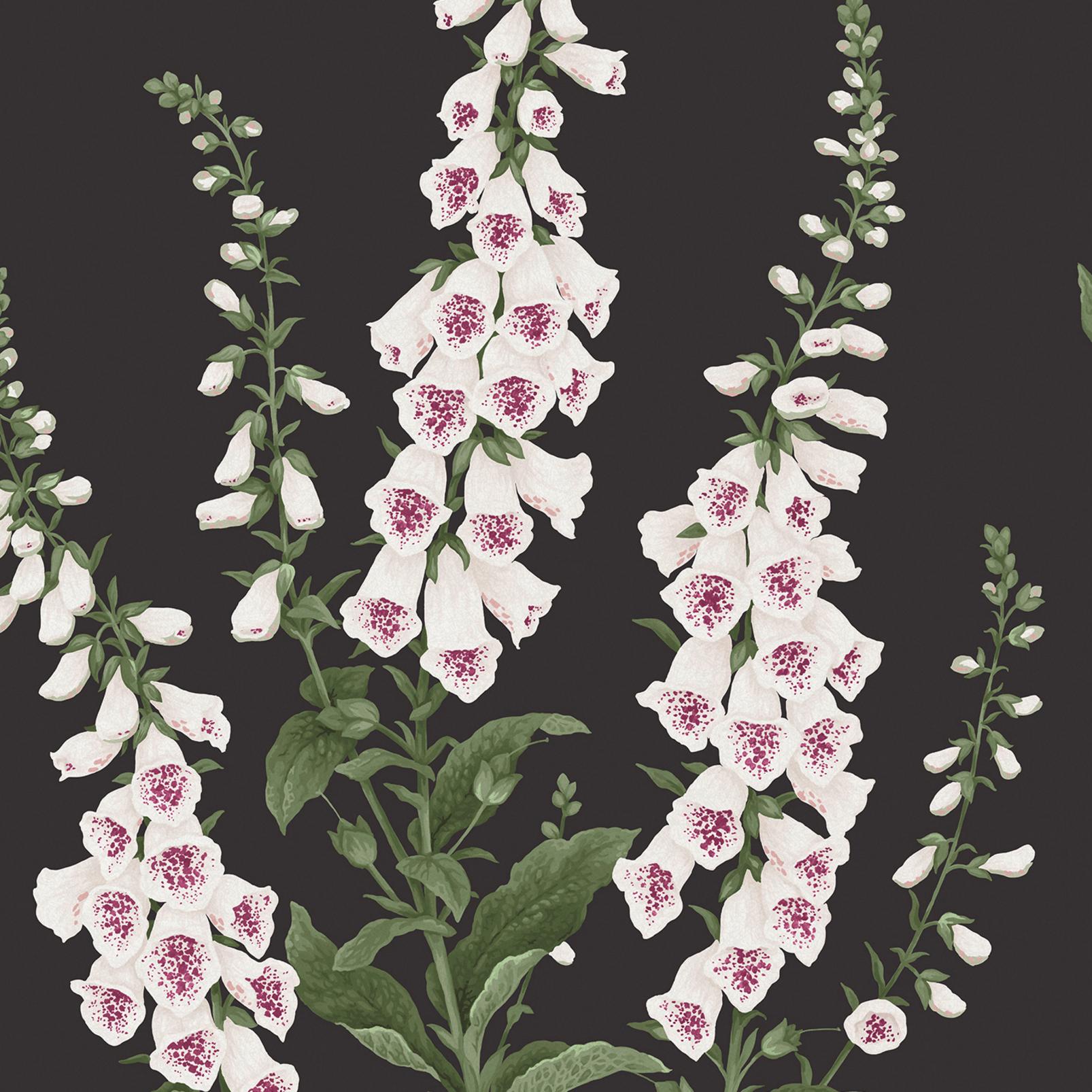 Foxglove Night Wallpaper