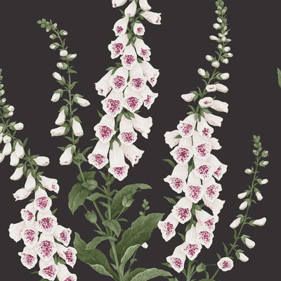 Foxglove Night Wallpaper