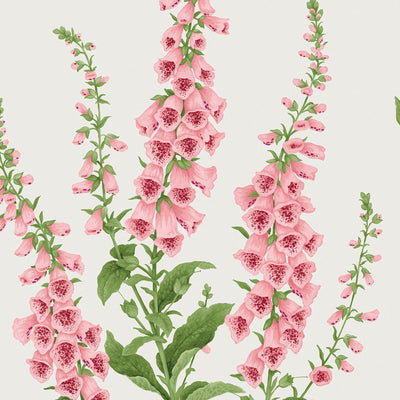 Foxglove Day Wallpaper
