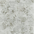 Tarbana Oyster (Minakari)