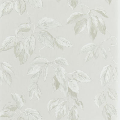 Jangal Chalk (Minakari)