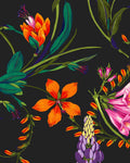 Botanist's Scroll Night Bespoke Mural