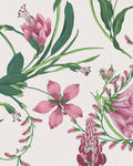Botanist's Scroll Mauve Bespoke Mural