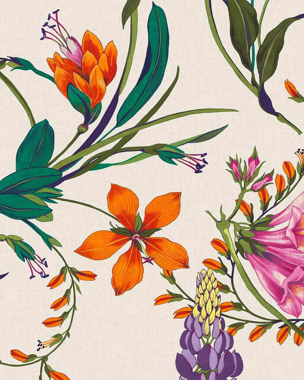 Botanist's Scroll Vivant Bespoke Mural