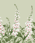 Foxglove Sage Bespoke Mural