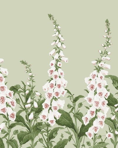 Foxglove Sage Bespoke Mural