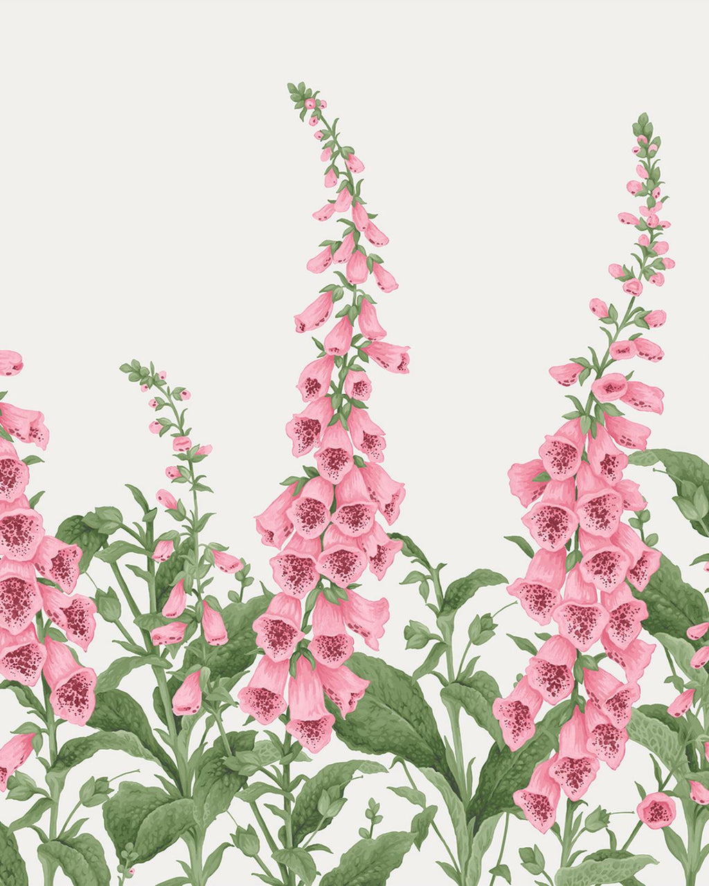 Foxglove Day Bespoke Mural