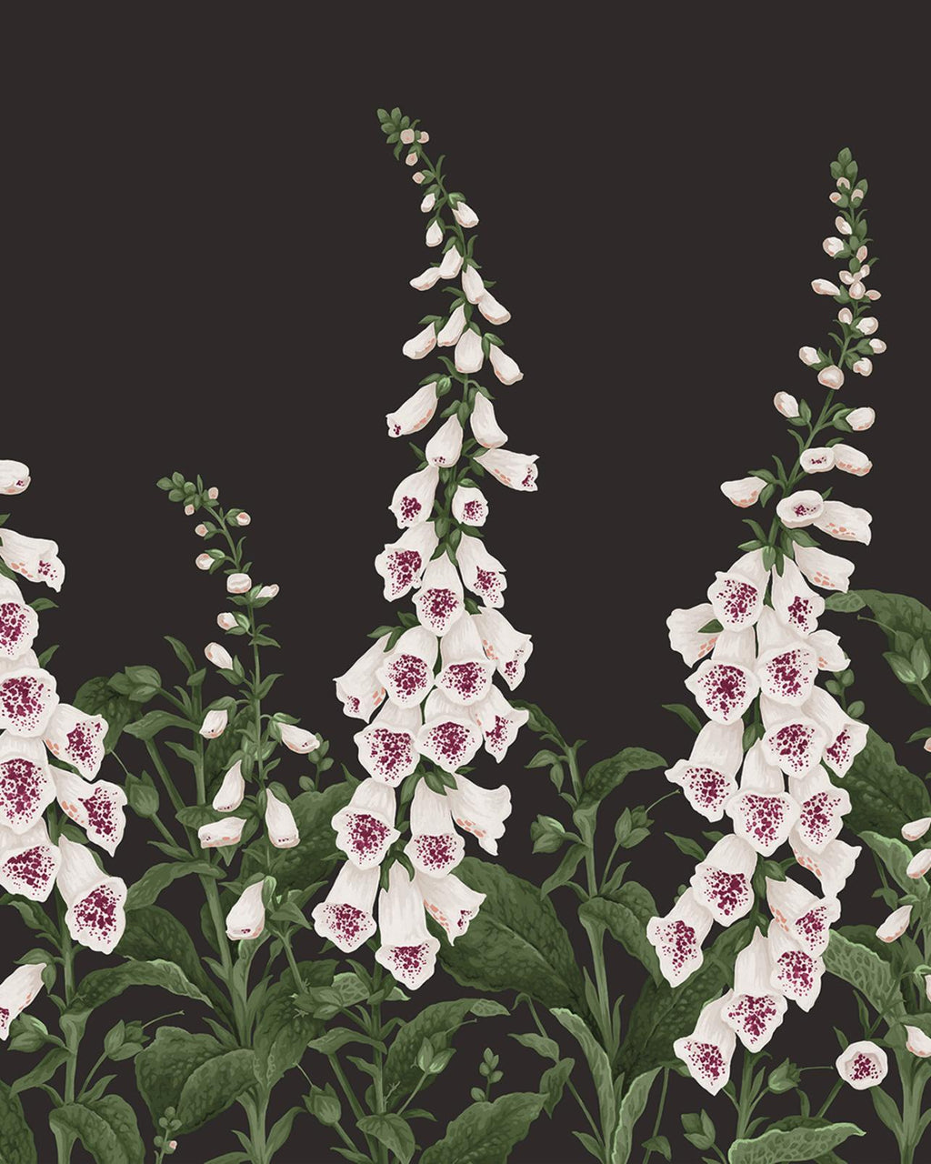 Foxglove Night Bespoke Mural