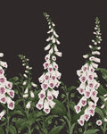Foxglove Night Bespoke Mural