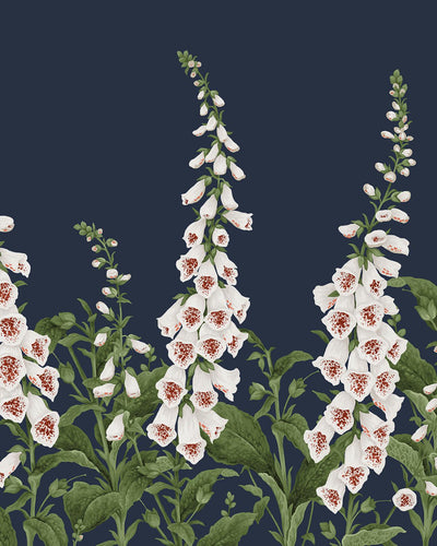 Foxglove Midnight Bespoke Mural