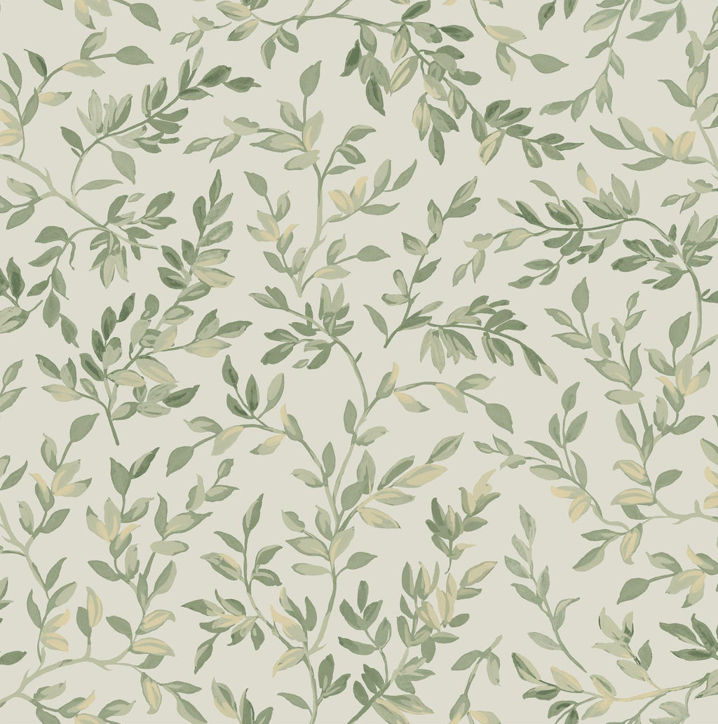 Archivist's Leaf Sage Wallpaper