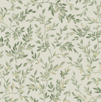 Archivist's Leaf Sage Wallpaper