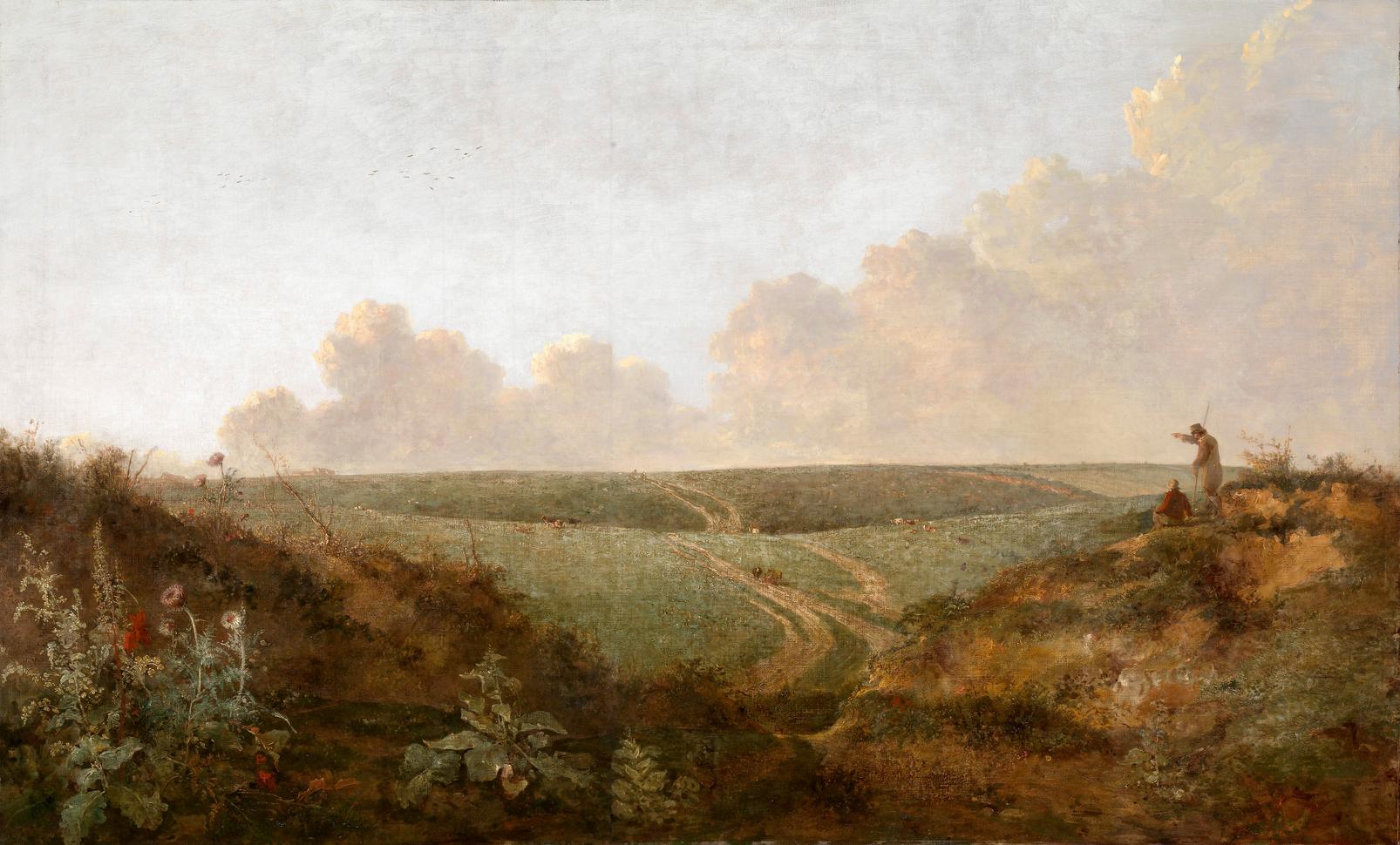 Mousehold Heath, Norwich Bespoke Mural