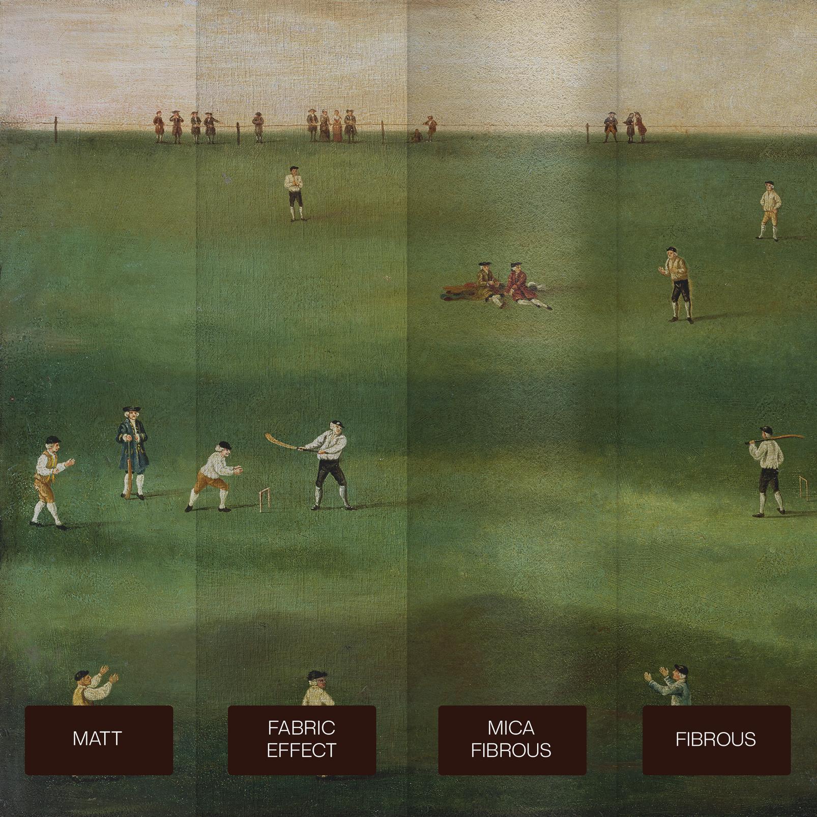 An Exact Representation of the Game of Cricket Bespoke Mural