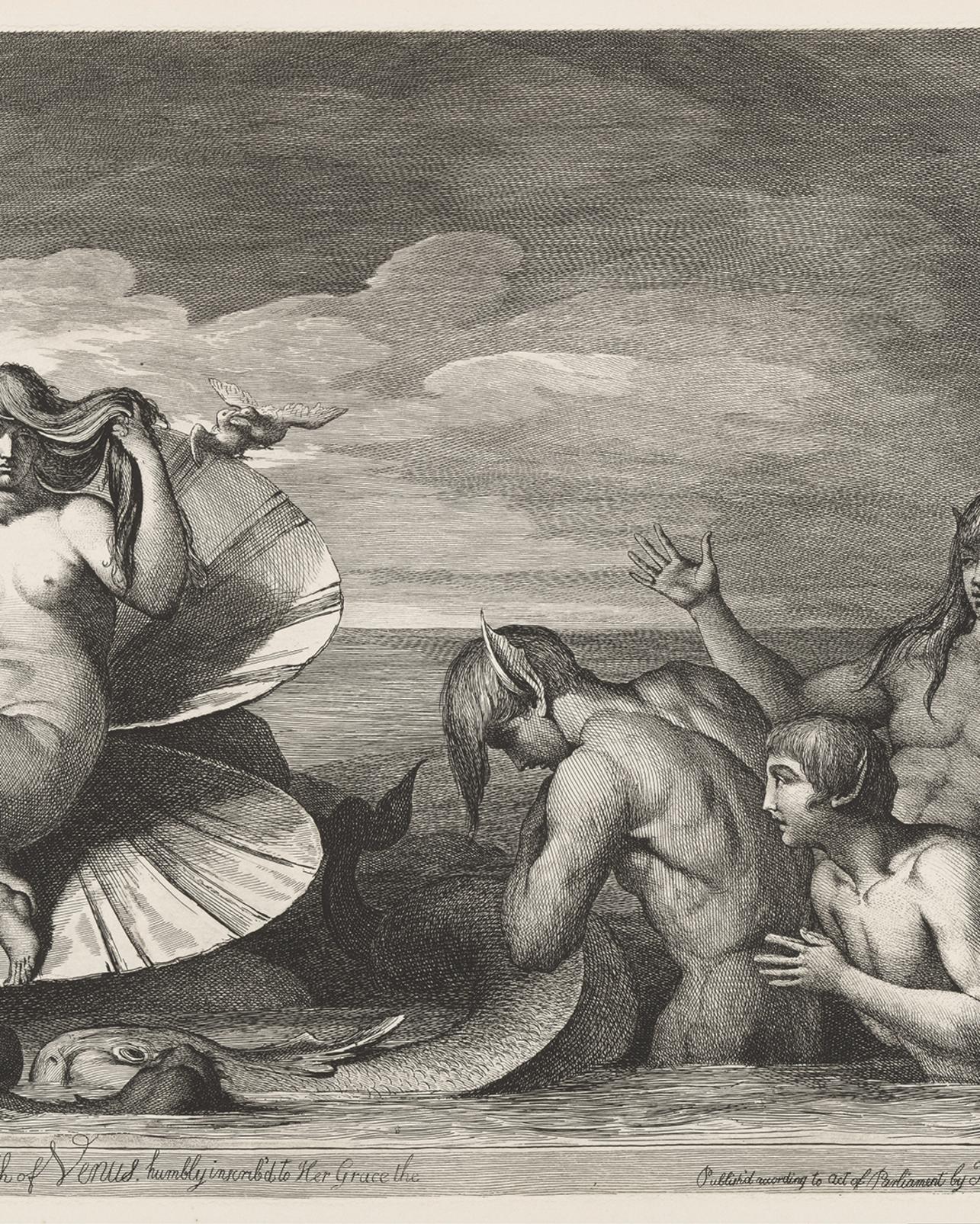 The Birth of Venus Bespoke Mural