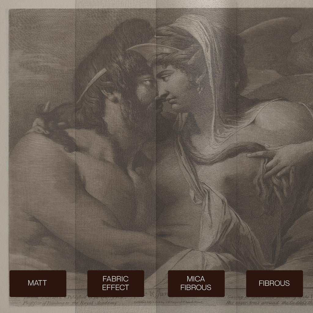 Jupiter and Juno on Mount Ida Bespoke Mural