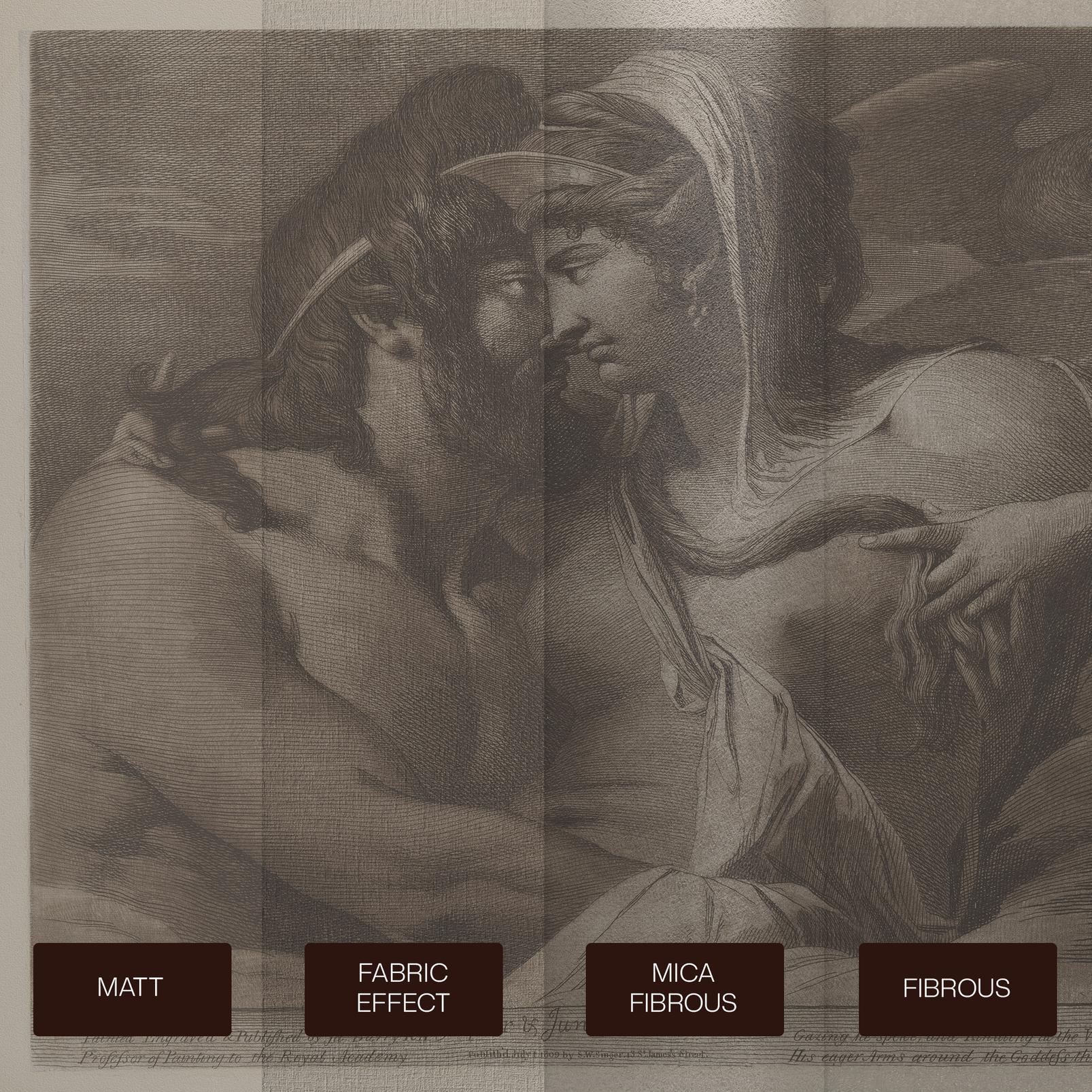 Jupiter and Juno on Mount Ida Bespoke Mural