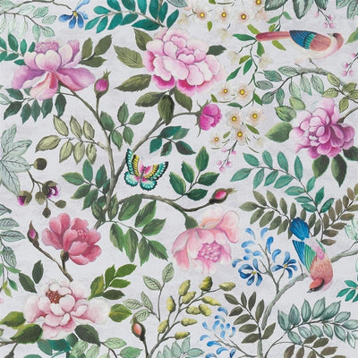Porcelaine De Chine Fuchsia (Porcelaine De Chine)
