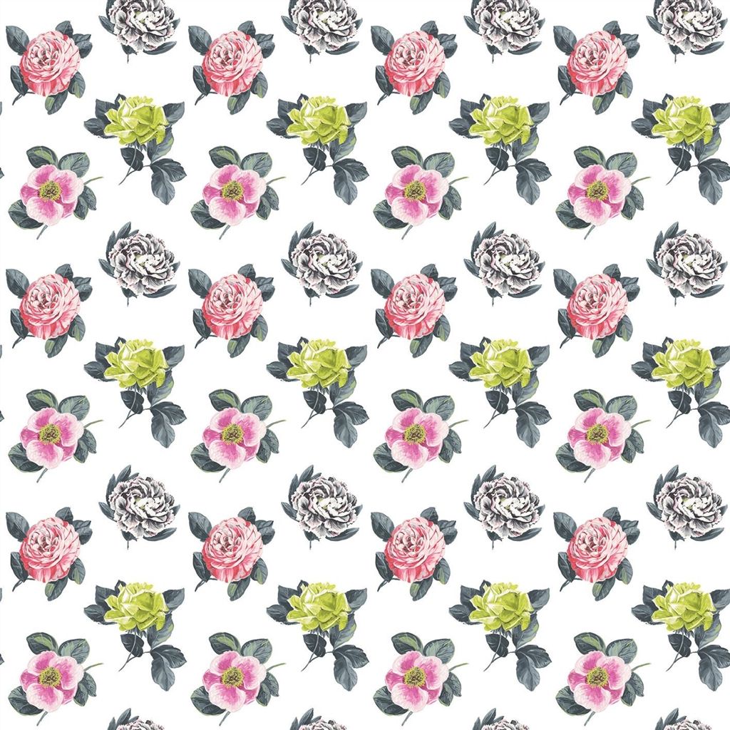 Pavonia - Peony (Castellani)