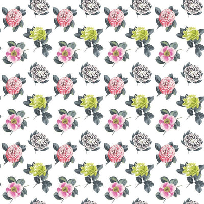 Pavonia - Peony (Castellani)