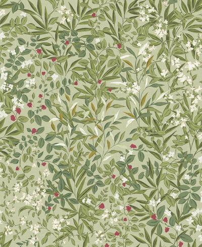Reverie Willow Wallpaper