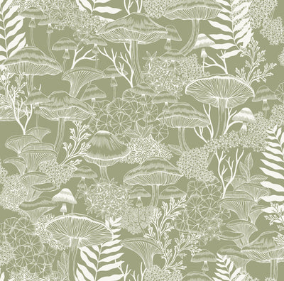 Fungi Folklore Willow Wallpaper