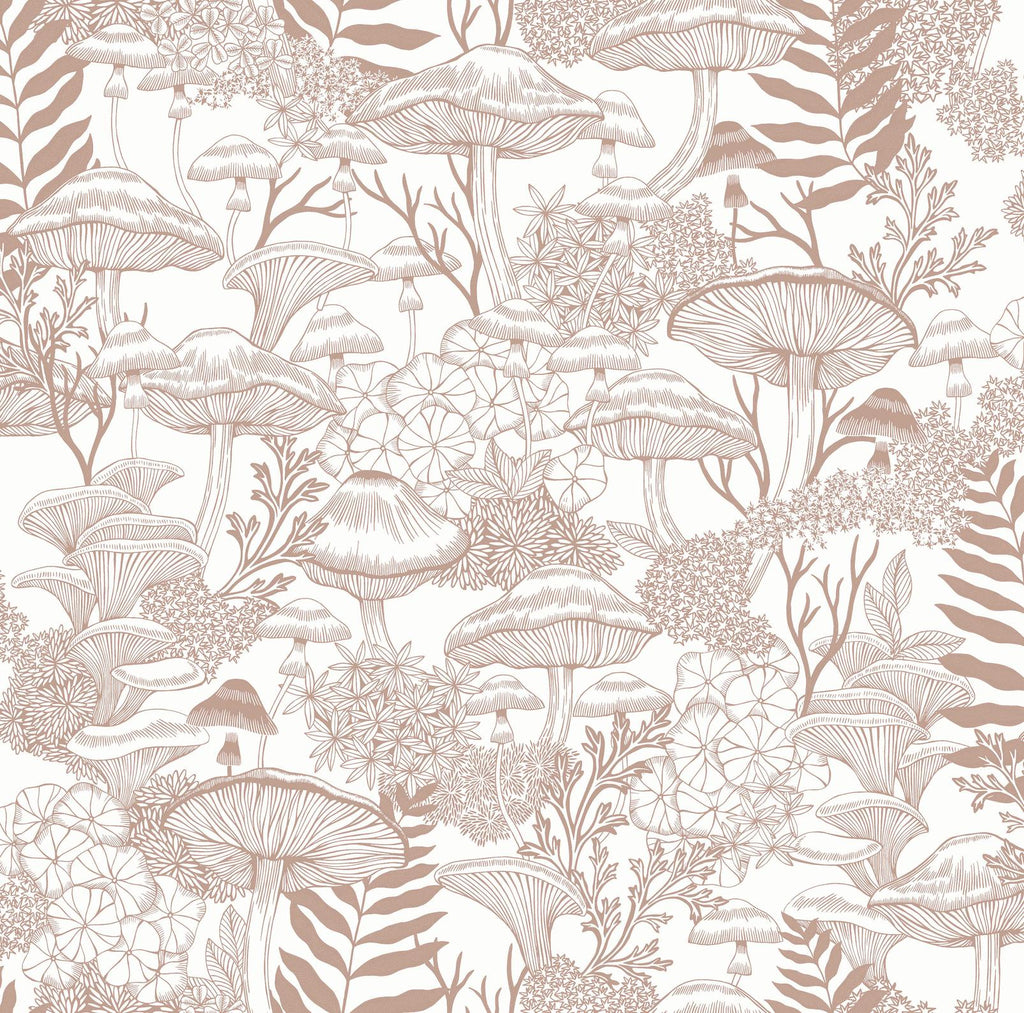 Fungi Folklore Whispering Rose Wallpaper