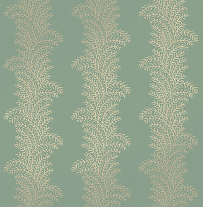 Whispering Fern Mist Wallpaper