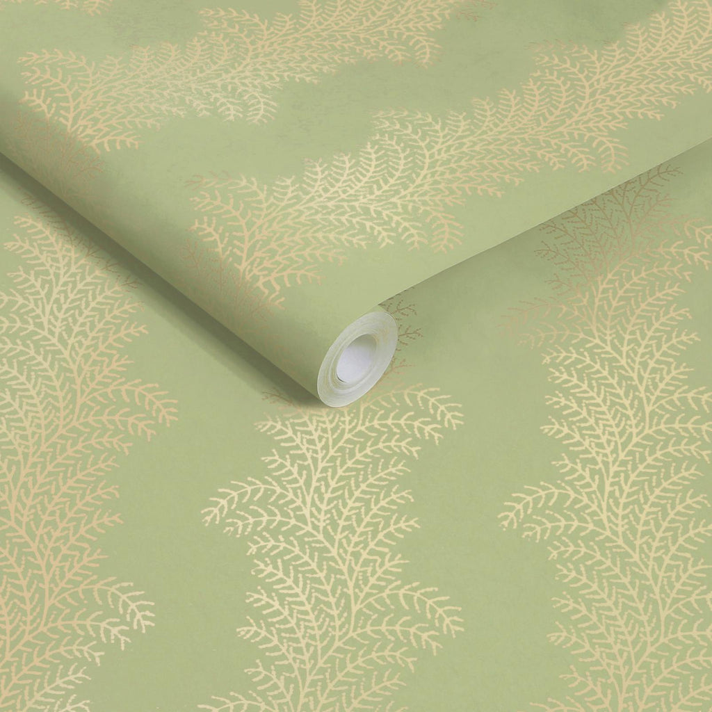 Whispering Fern Dark Sage Wallpaper