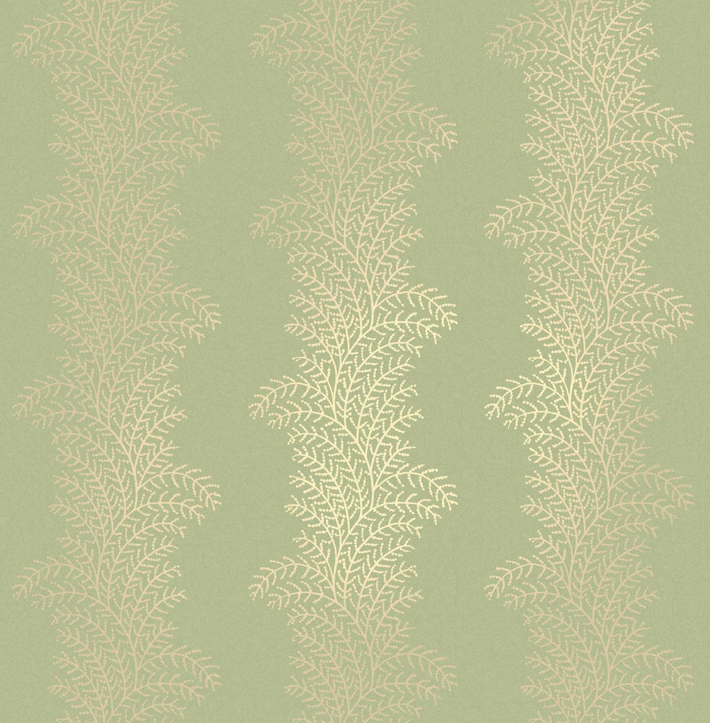 Whispering Fern Dark Sage Wallpaper