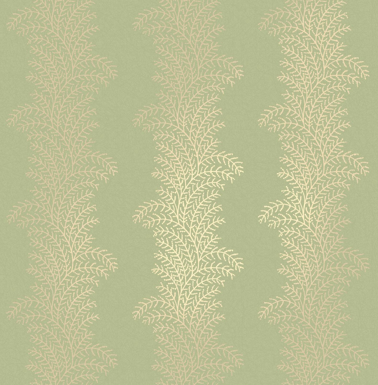 Whispering Fern Dark Sage Wallpaper