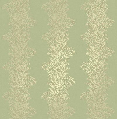 Whispering Fern Dark Sage Wallpaper