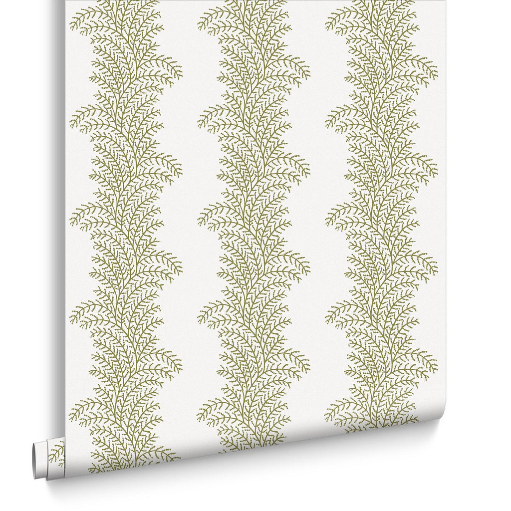 Whispering Fern Willow Wallpaper