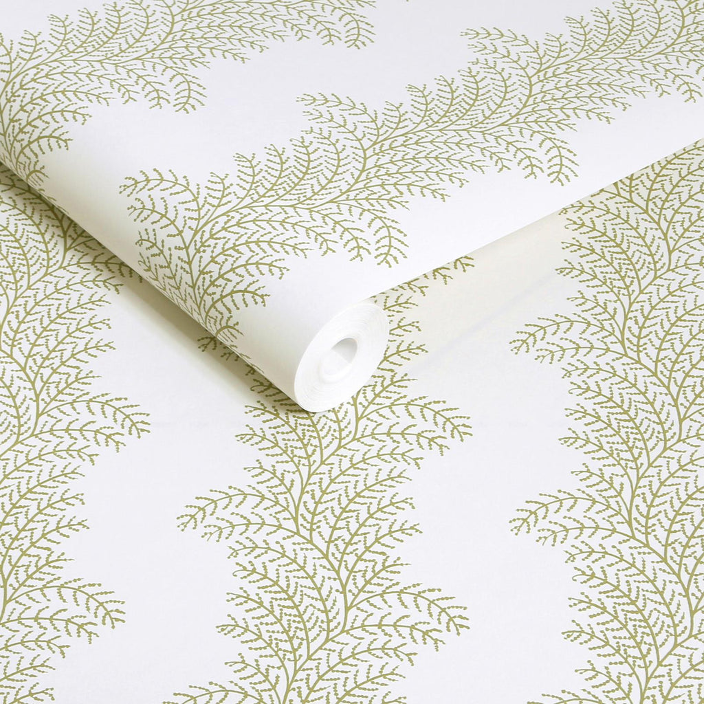 Whispering Fern Willow Wallpaper