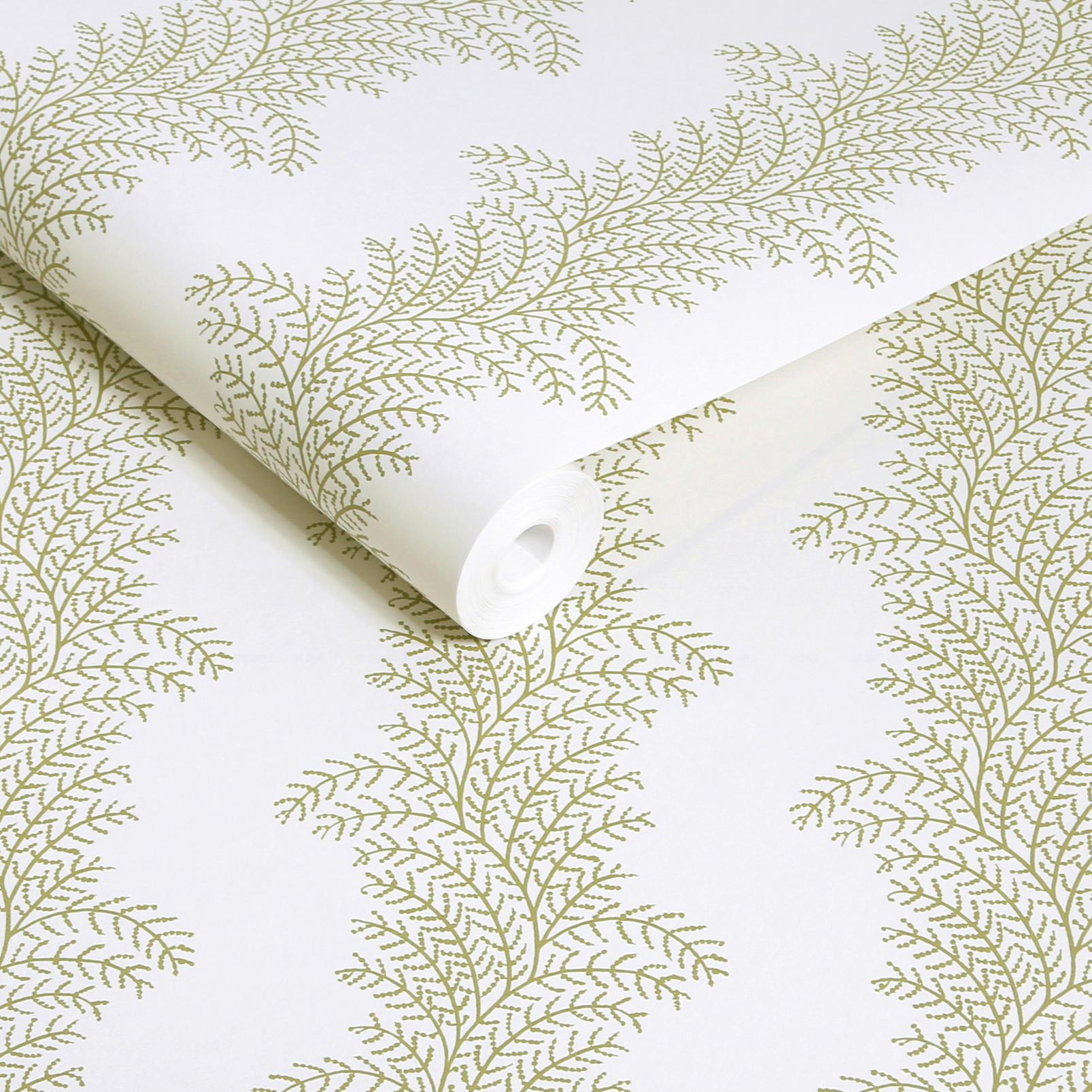 Whispering Fern Willow Wallpaper