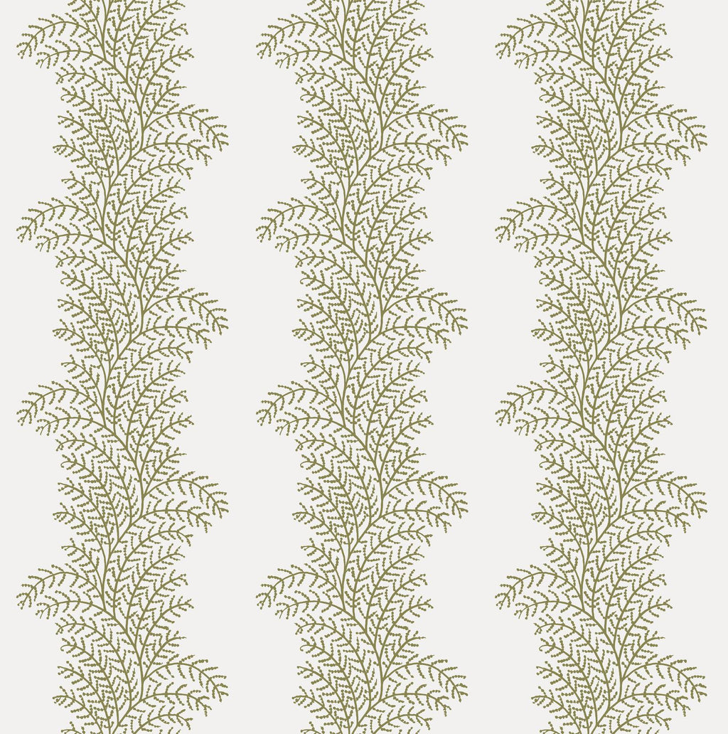 Whispering Fern Willow Wallpaper