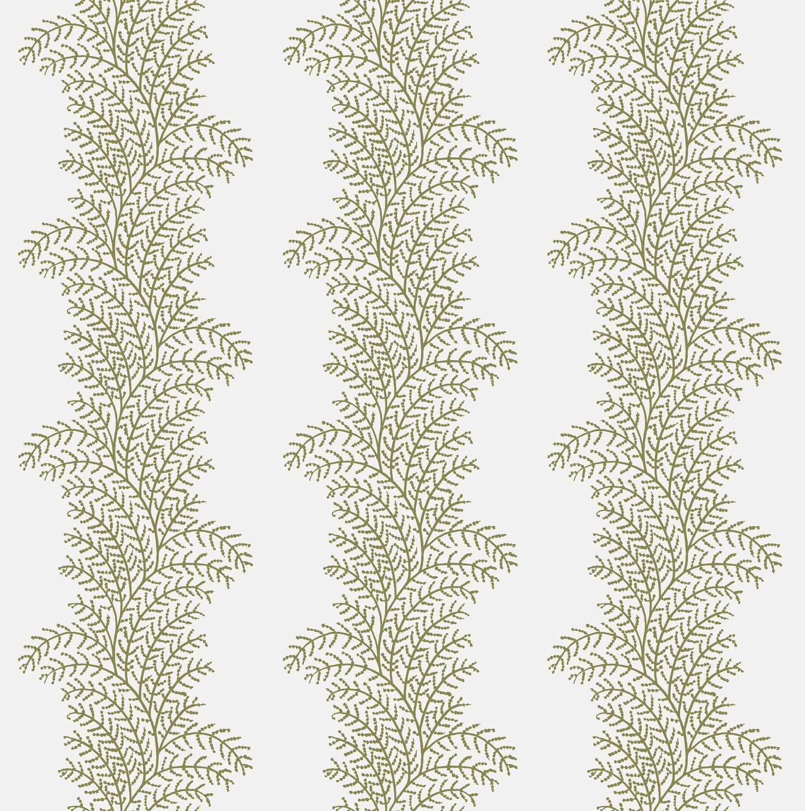 Whispering Fern Willow Wallpaper