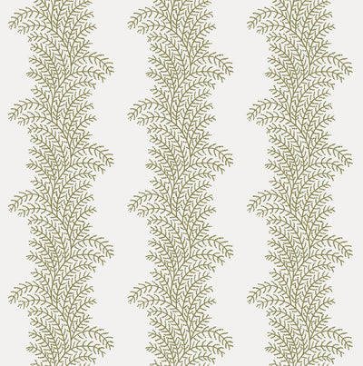 Whispering Fern Willow Wallpaper
