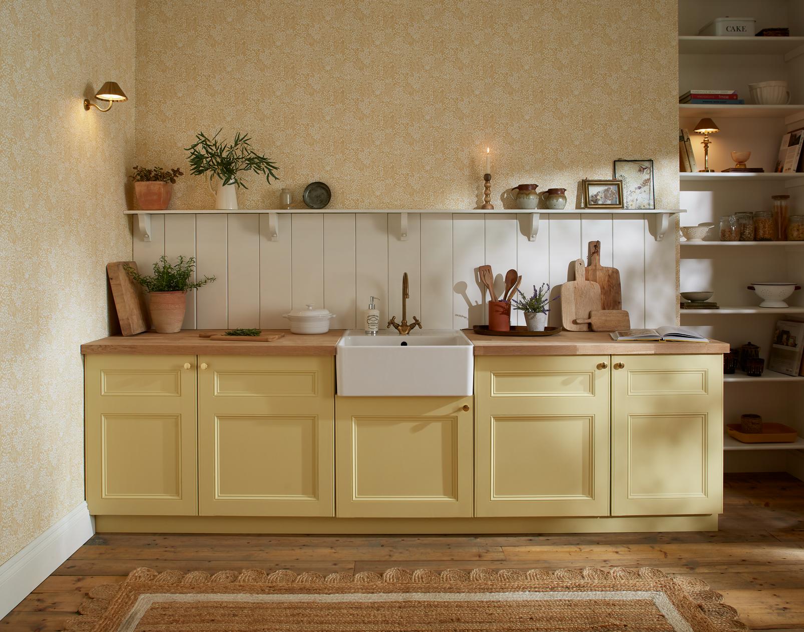 Daisyfield Creme Brulee Wallpaper