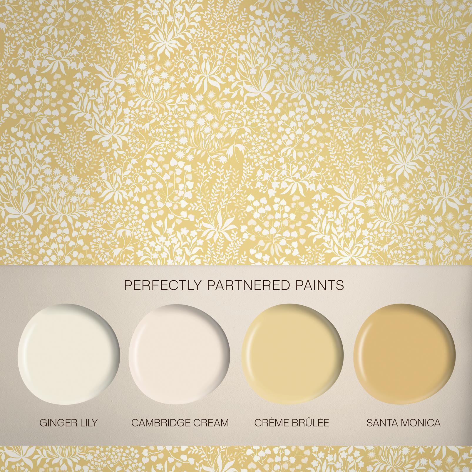 Daisyfield Creme Brulee Wallpaper