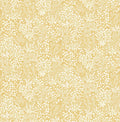 Daisyfield Creme Brulee Wallpaper