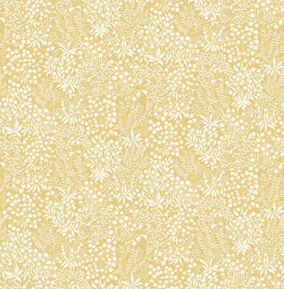 Daisyfield Creme Brulee Wallpaper