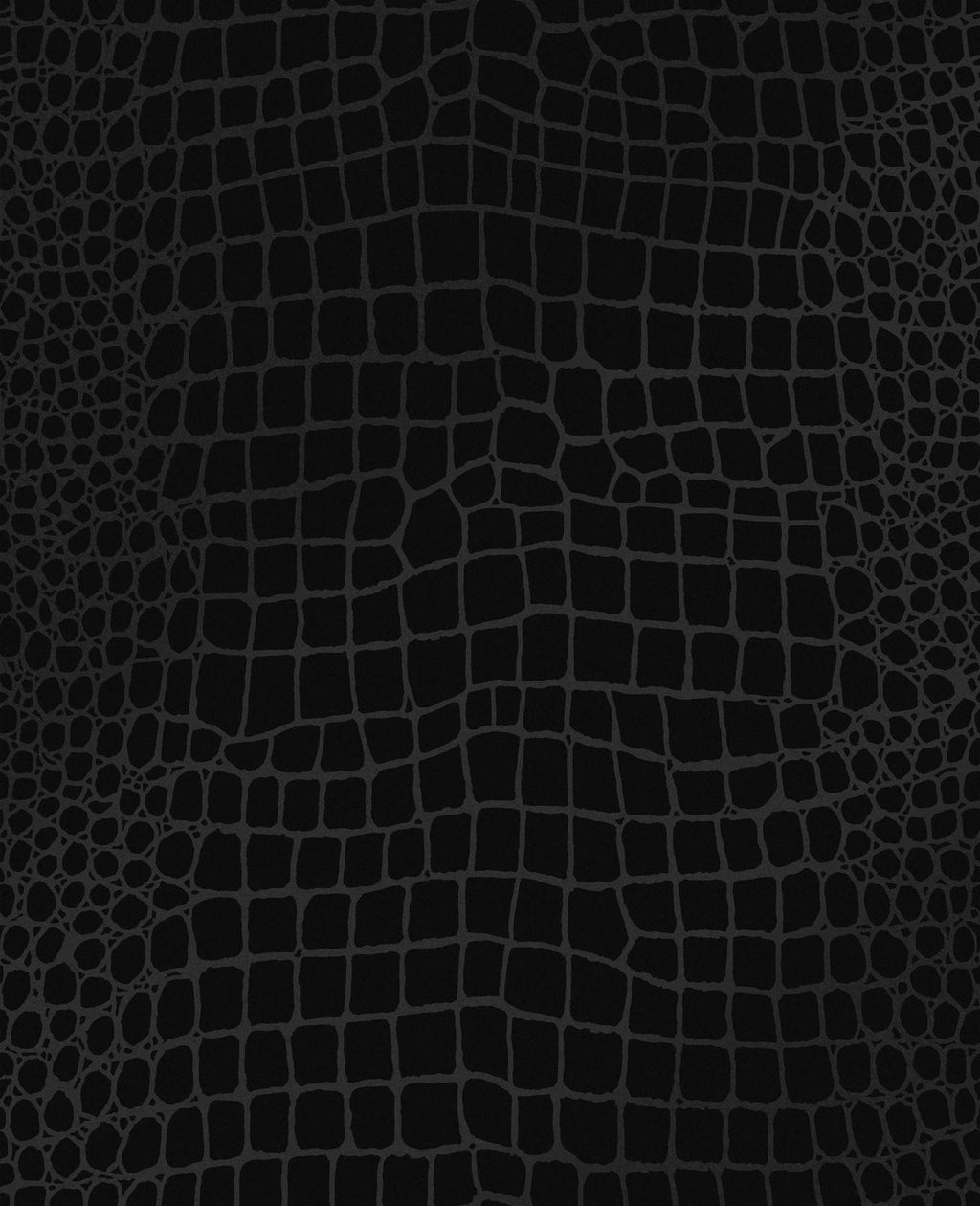Crocodile Noir Wallpaper