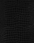 Crocodile Noir Wallpaper
