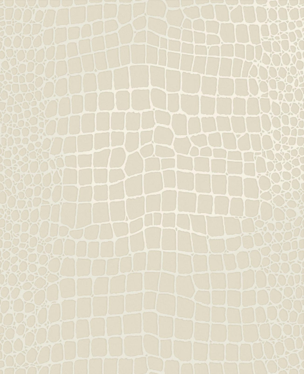 Crocodile Blanc Wallpaper