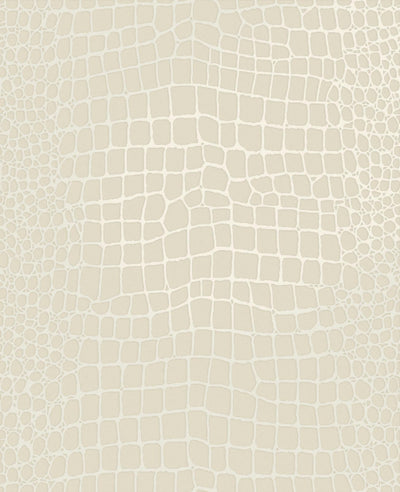 Crocodile Blanc Wallpaper