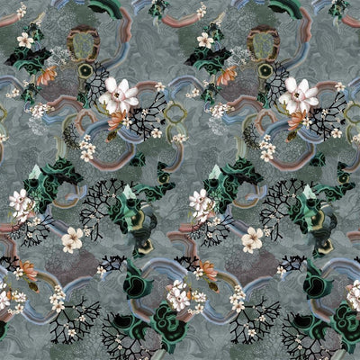 Algae Bloom Graphite (Lacroix Stravaganza)