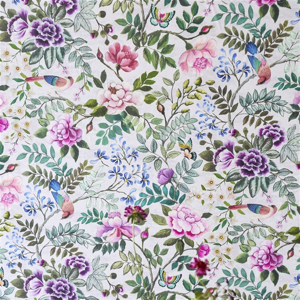 Porcelaine De Chine Fuchsia (Porcelaine De Chine)