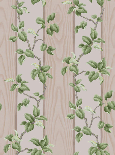 Kate Berry Climbing Branches Clay Wallpaper