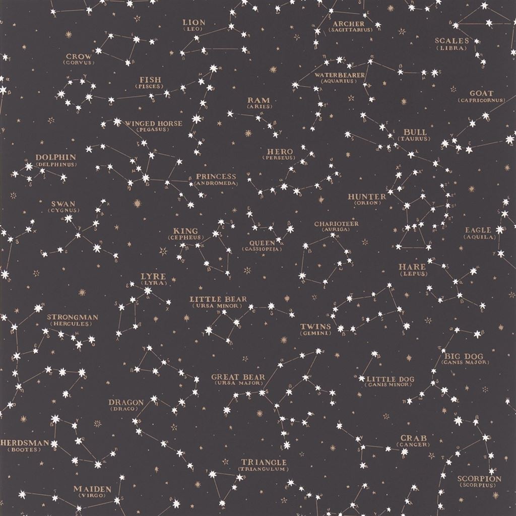 Starry Sky Black (Coastal Papers)
